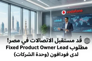🌐 قُد مستقبل الاتصالات في مصر! مطلوب Fixed Product Owner Lead لدى فودافون (وحدة الشركات)