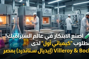 🧪 اصنع الابتكار في عالم السيراميك! مطلوب "كيميائي أول" لدى Villeroy & Boch (إيديال ستاندرد) بمصر